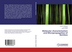 Обложка Molecular characterization and Micropropagation of Bamboo