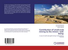 Copertina di Contribution of small-scale mining to the miners’ well-being:
