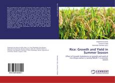 Обложка Rice: Growth and Yield in Summer Season