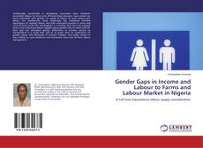 Gender Gaps in Income and Labour to Farms and Labour Market in Nigeria的封面