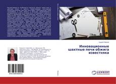 Buchcover von Инновационные шахтные печи обжига известняка