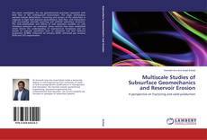 Couverture de Multiscale Studies of Subsurface Geomechanics and Reservoir Erosion