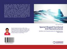 Copertina di Special Shaped Functional ZnO Nanostructures
