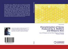 Buchcover von Characterization of Honey Produced by A. Mellifera and Melipona Bees