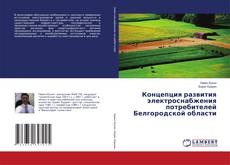 Концепция развития электроснабжения потребителей Белгородской области的封面