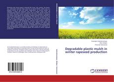 Copertina di Degradable plastic mulch in winter rapeseed production