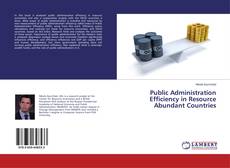 Portada del libro de Public Administration Efficiency in Resource Abundant Countries