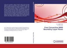 Free Convective MHD Boundary Layer Flows kitap kapağı
