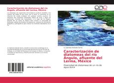Buchcover von Caracterización de diatomeas del río Ángulo, afluente del Lerma, México