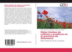 Copertina di Malas hierbas de cultivos y acuáticas en la provincia de Salamanca