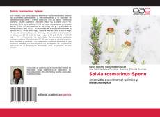 Обложка Salvia rosmarinus Spenn