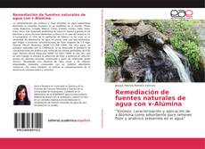 Buchcover von Remediación de fuentes naturales de agua con ɤ-Alúmina