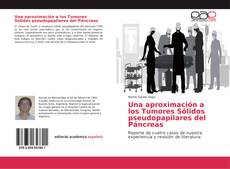 Bookcover of Una aproximación a los Tumores Sólidos pseudopapilares del Páncreas