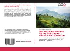 Portada del libro de Necesidades Hidrícas de los Principales cultivos de Campeche
