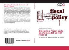 Disciplina Fiscal en la Economía del Sector Público kitap kapağı