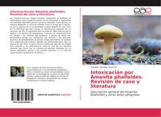 Bookcover of Intoxicación por Amanita phalloides. Revisión de caso y literatura