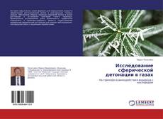 Portada del libro de Исследование сферической детонации в газах