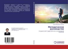 Portada del libro de Методическое руководство