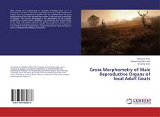 Portada del libro de Gross Morphometry of Male Reproductive Organs of local Adult Goats