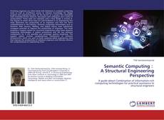 Semantic Computing : A Structural Engineering Perspective的封面