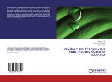 Development of Small Scale Food Industry Cluster in Indonesia kitap kapağı