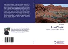 Desert Varnish的封面