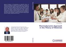 Thermodynamic Approach in the Theory of Materials kitap kapağı