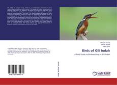 Birds of Gili Indah kitap kapağı