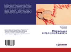Couverture de Организация исполнения бюджета