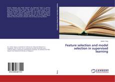 Feature selection and model selection in supervised learning kitap kapağı