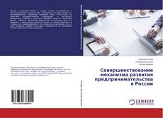 Совершенствование механизма развития предпринимательства в России kitap kapağı
