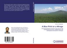 Buchcover von A Blue Print or a Mirage