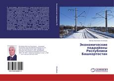 Portada del libro de Экономические подрайоны Республики Башкортостан