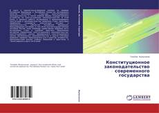 Конституционное законодательство современного государства kitap kapağı