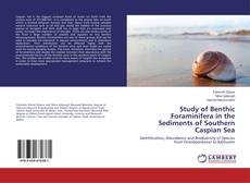 Study of Benthic Foraminifera in the Sediments of Southern Caspian Sea kitap kapağı