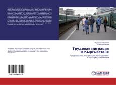 Copertina di Трудовая миграция в Кыргызстане
