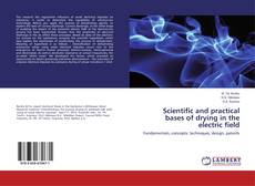 Scientific and practical bases of drying in the electric field kitap kapağı