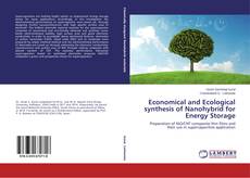 Обложка Economical and Ecological synthesis of Nanohybrid for Energy Storage