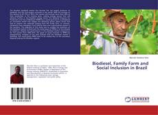 Portada del libro de Biodiesel, Family Farm and Social Inclusion in Brazil