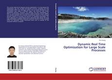Portada del libro de Dynamic Real Time Optimization for Large Scale Processes
