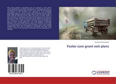 Foster care grant exit plans的封面
