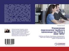Управление персоналом трубного производства ТЭСЦ-3 ОАО "ВМЗ"的封面