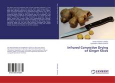 Capa do livro de Infrared Convective Drying of Ginger Slices 