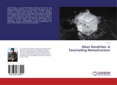 Silver Dendrites: A Fascinating Nanostructure kitap kapağı