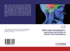 Bookcover of TERF1/USP14/CCRK/BEST1-repressive microtube in human left hemisphere