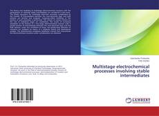 Portada del libro de Multistage electrochemical processes involving stable intermediates