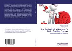 Buchcover von The Analysis of a Newborn’s Brain Cooling Process