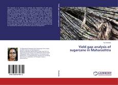 Copertina di Yield gap analysis of sugarcane in Maharashtra