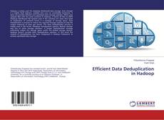 Efficient Data Deduplication in Hadoop的封面