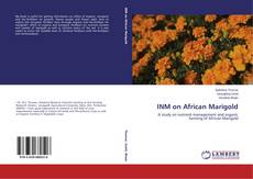 INM on African Marigold的封面